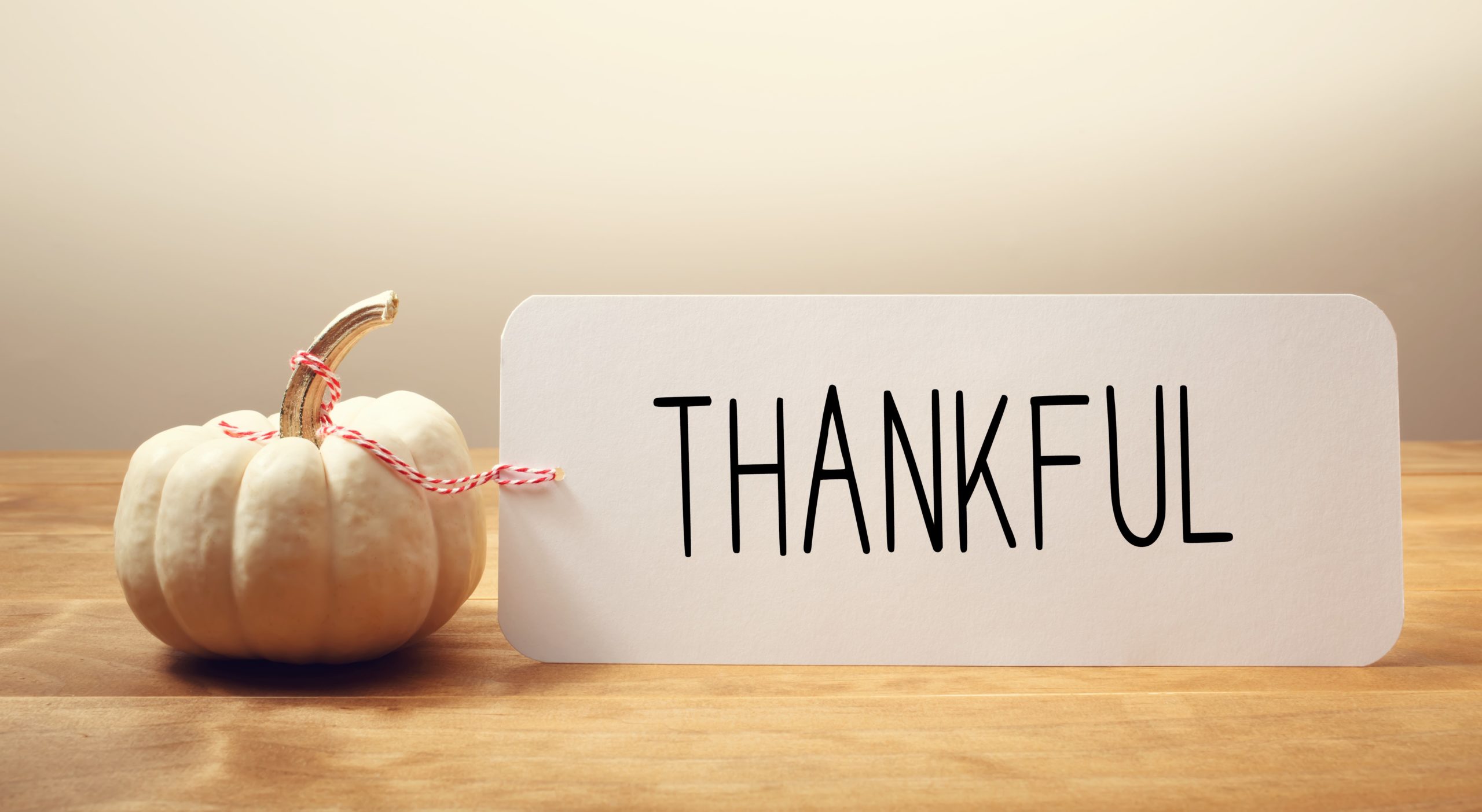 thankful sign with a little pumpkin