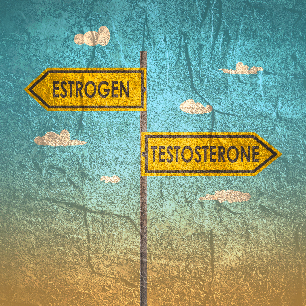 Estrogen and testosterone.