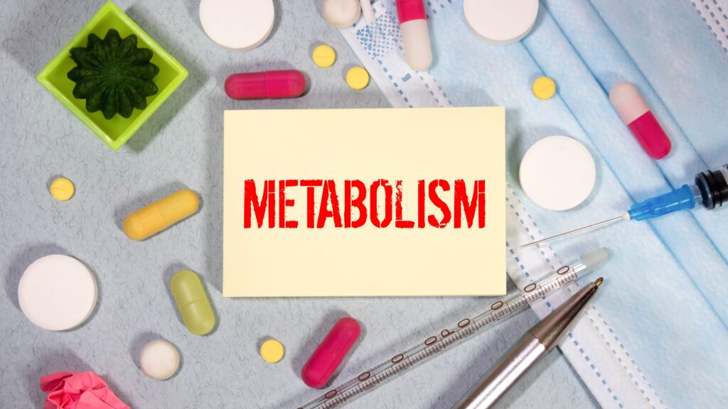 Understanding the Menopause-Metabolism Connection