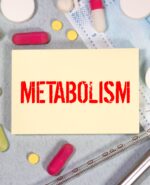 Understanding the Menopause-Metabolism Connection