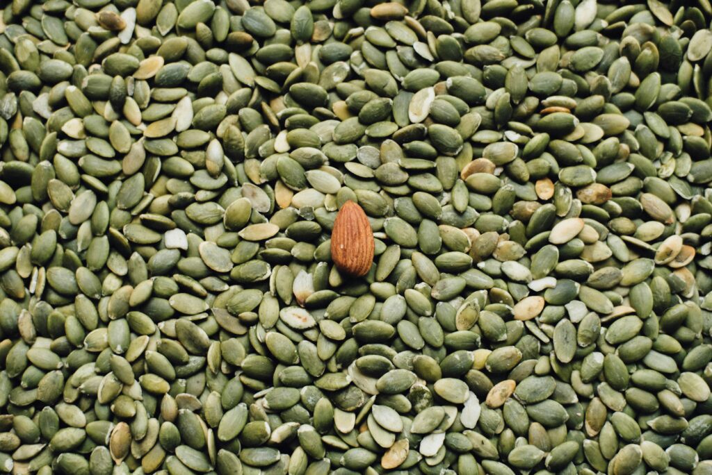 image of pumpkin seed