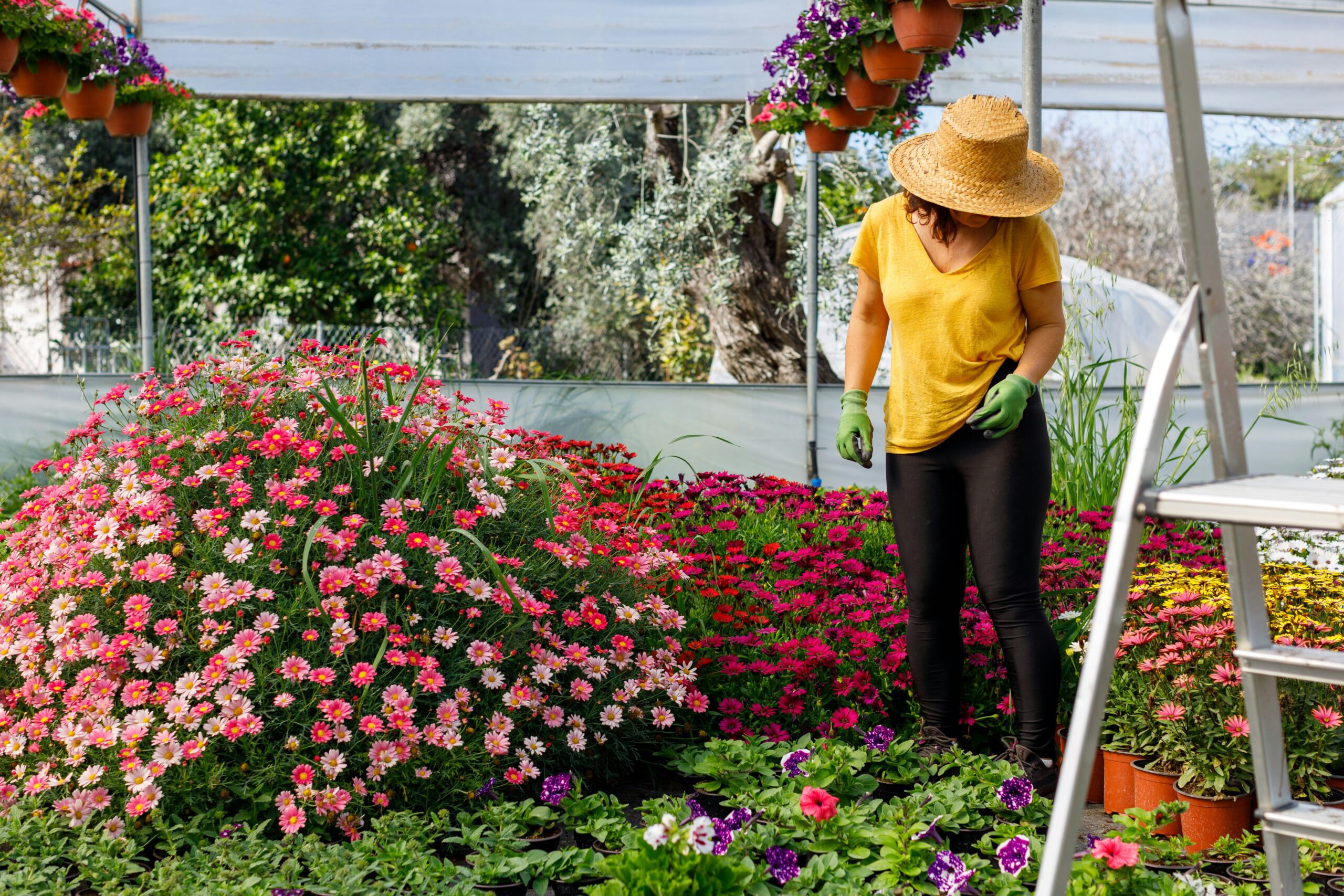 woman gardening